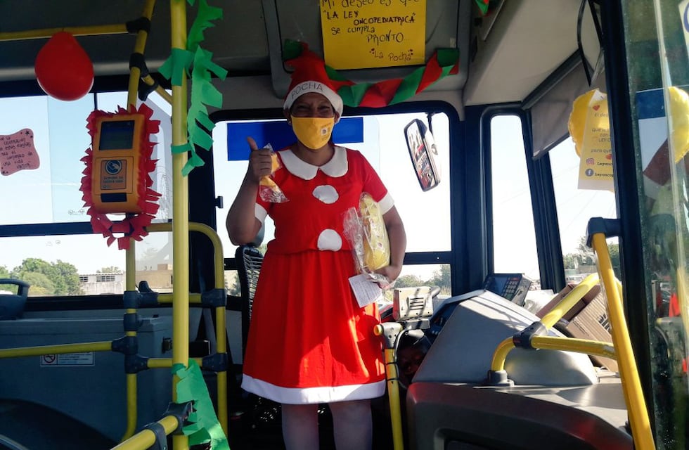 La Pocha: la “Mamá Noel” cordobesa que superó el cáncer, volvió a trabajar y pide por la ley de oncopediatría