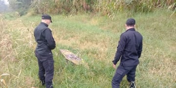 9 de Julio: encontraron un ataúd al lado de la ruta, dentro había un peluche con agujas.