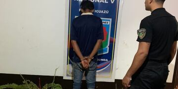 Puerto Iguazú: detenido por sustraer plantas de un vivero.