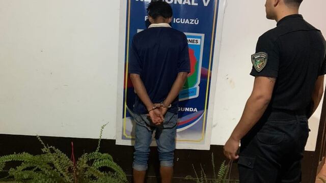 Puerto Iguazú: detenido por sustraer plantas de un vivero.