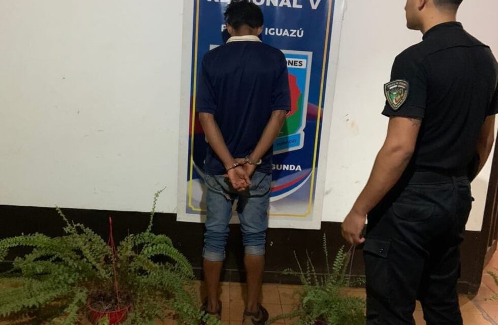 Puerto Iguazú: detenido por sustraer plantas de un vivero