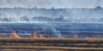 Incendios forestales o rurales