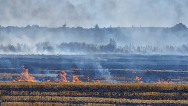 Incendios forestales o rurales
