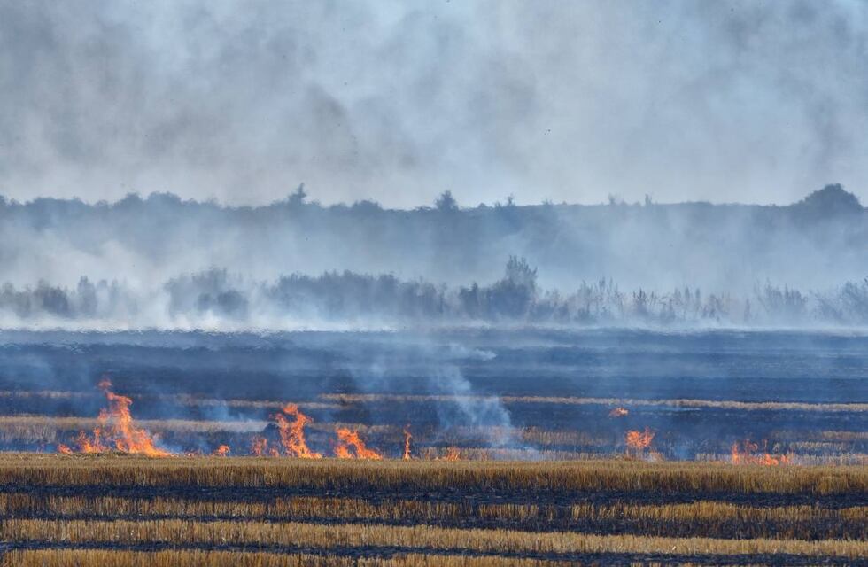 Recomendaciones para prevenir incendios rurales o forestales