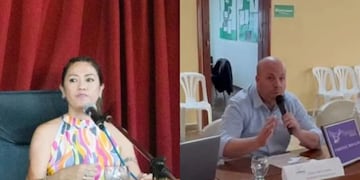 Removieron a la presidenta del Concejo Deliberante de Coronel Rosales