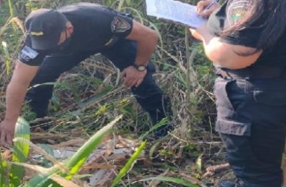 Detuvieron a un joven con objetos robados en Colonia Victoria