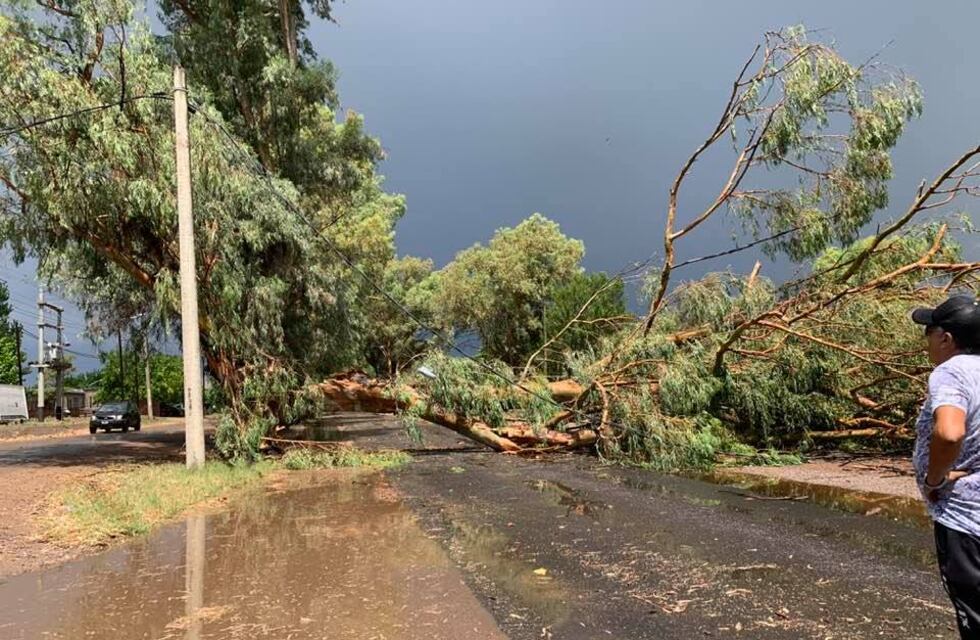 Una fuerte tormenta provocó daños cortes de luz y casas anegadas en el Este