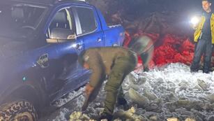 Rescataron a una familia en alta de montaña