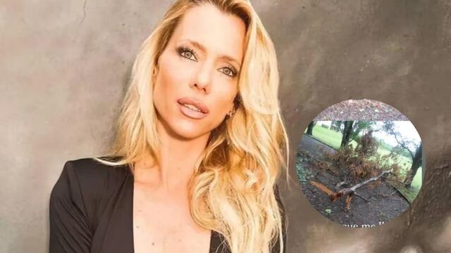 Nicole Neumann mostró cómo quedó su casa en Tigre.