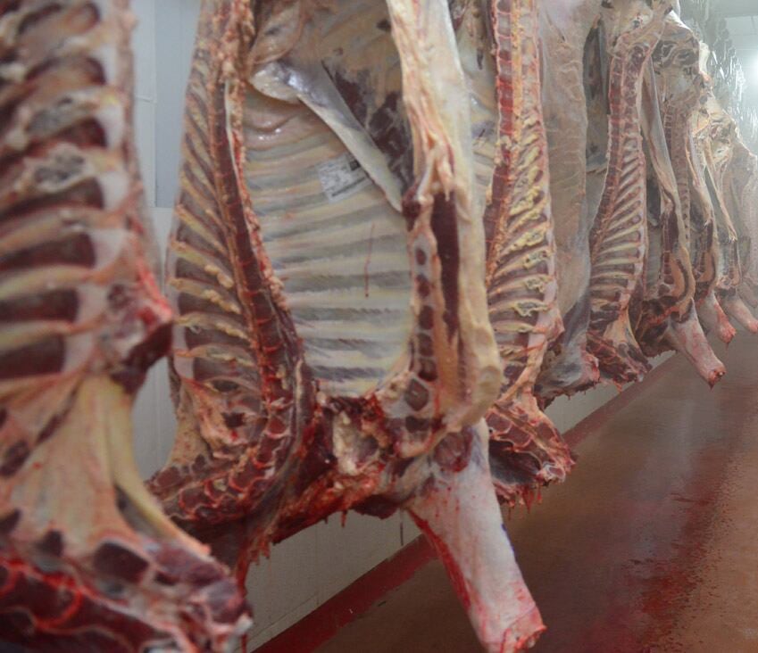 Carne vacuna (Imagen ilustrativa)