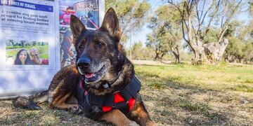 Ayelen Castro con su perra Ruca tiene 12 años es una ovejera alemán linea de trabajo, entrenada para busqueda de personas y detección de RH.