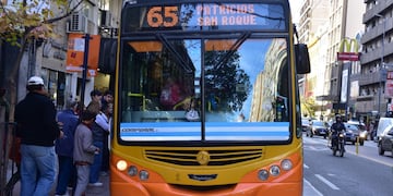 Nuevas unidades de la Coniferal tomaron dos líneas que eran operadas por Ersa.