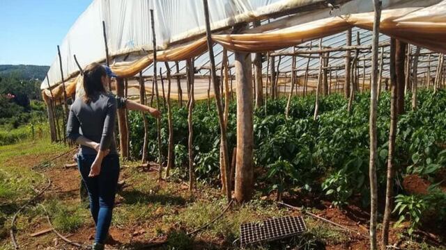 Ministerio de Agricultura provincial: entrega de insumos y capacitación