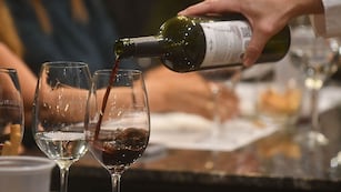 Publicitaron una ddegustación de vinos y todo era una fiesta clandestina con drogas en Córdoba. (Foto José Gutierrez / Los Andes/ Ilustrativa).