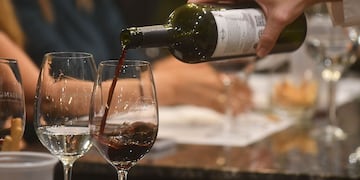 Publicitaron una ddegustación de vinos y todo era una fiesta clandestina con drogas en Córdoba. (Foto José Gutierrez / Los Andes/ Ilustrativa).