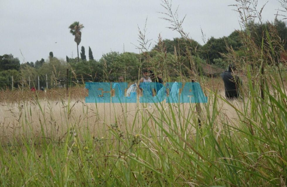 La Plata: denuncian una toma de terrenos en el barrio Aeropuerto