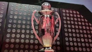 Muchos equipos pelearán en las últimas fechas por la Liga Profesional.