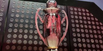 Muchos equipos pelearán en las últimas fechas por la Liga Profesional.