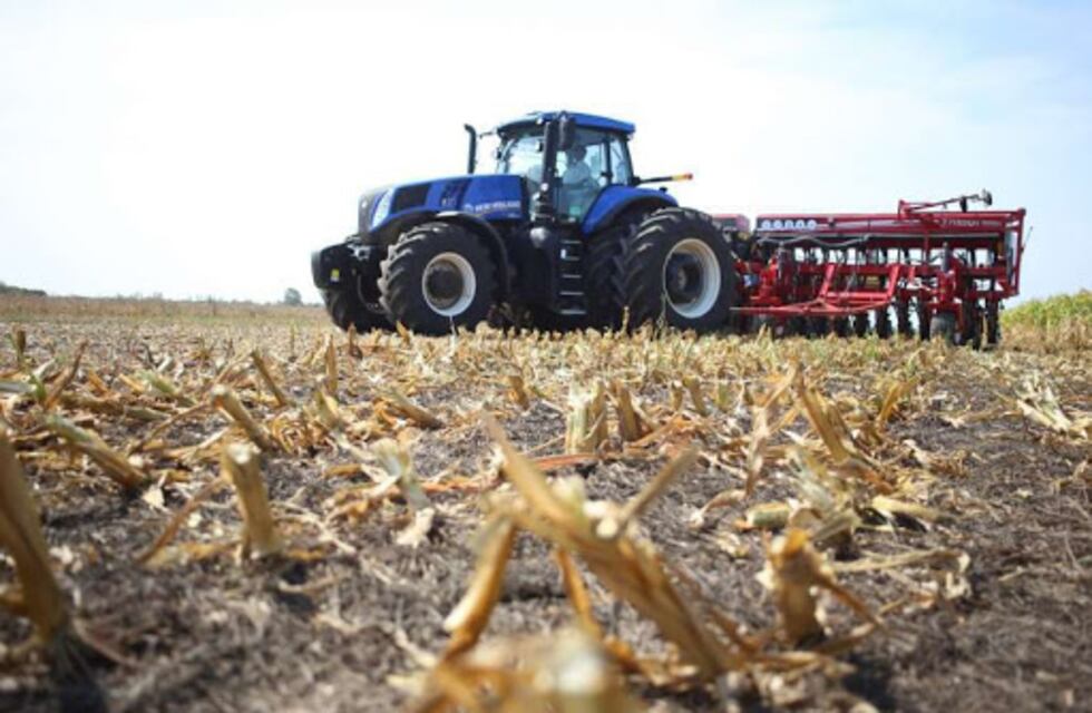 Principio de acuerdo para que se reabran las exportaciones de maíz