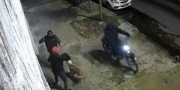 Dos motochorros atacaron con un arma a un hombre que paseaba con su perro en La Plata.