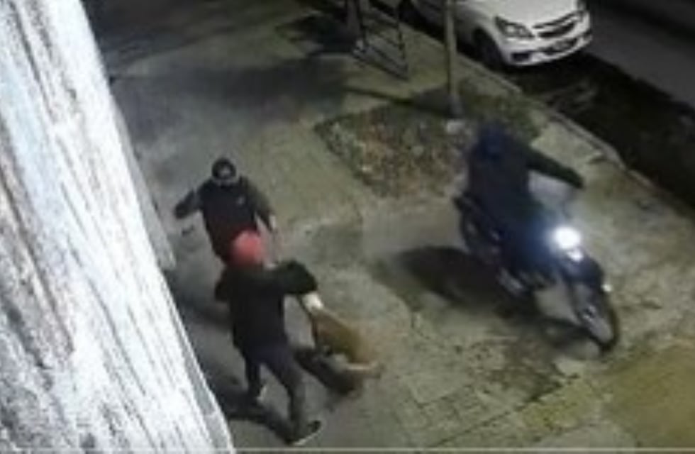 Héroe sin capa: un perro salvó a su dueño de un robo en La Plata