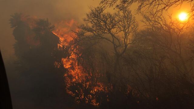 El fuego, un peligro inminente en Córdoba. (Foto: archivo/ilustrativa)