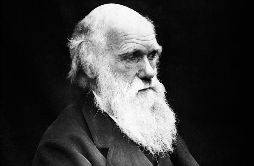 El vínculo entre Darwin y Punta Alta, la próxima charla del Archivo Municipal