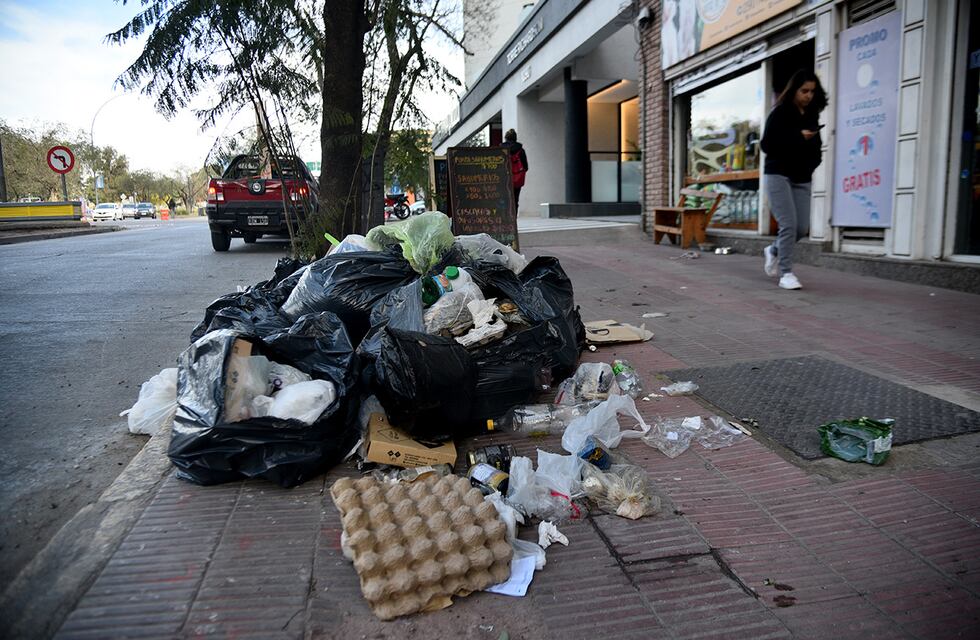 Fue a recolectar la basura y se topó con una peligrosa sorpresa en Córdoba