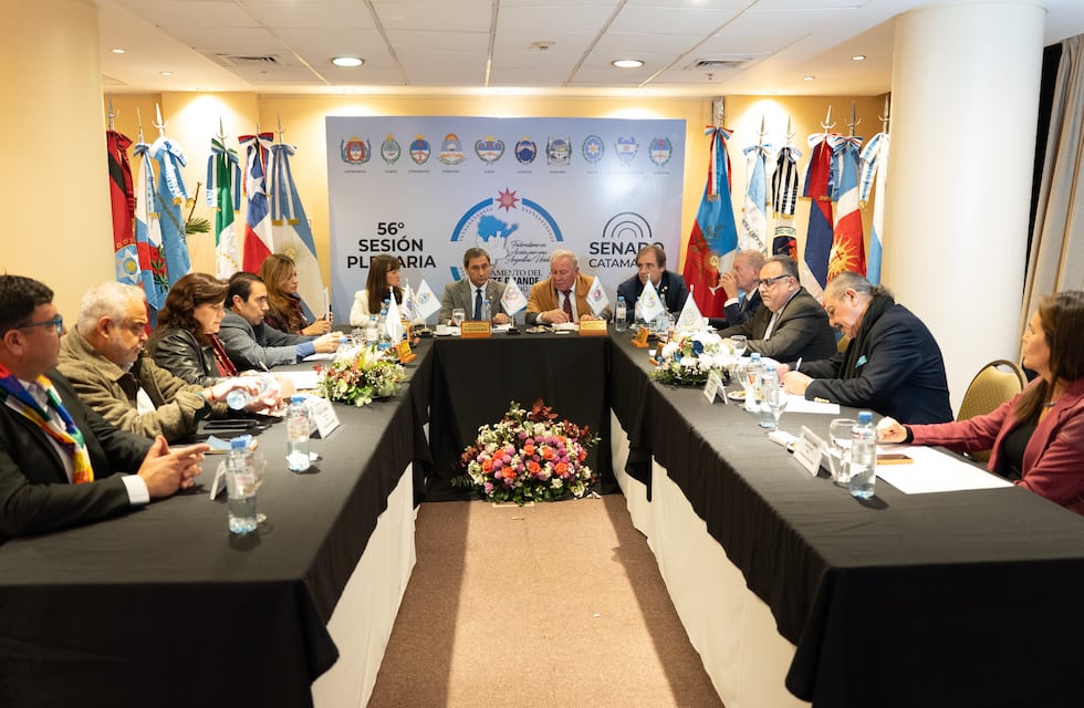 El Parlamento del Norte Grande se enfrenta al presidente Javier Milei