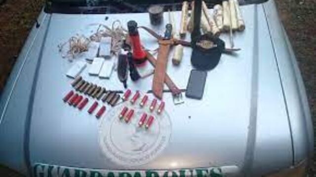 Logran desbaratar campamento de cazadores furtivos en Parque Foerster