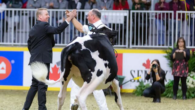 Jamie Black estará en la pista de la ExpoRural de Rafaela