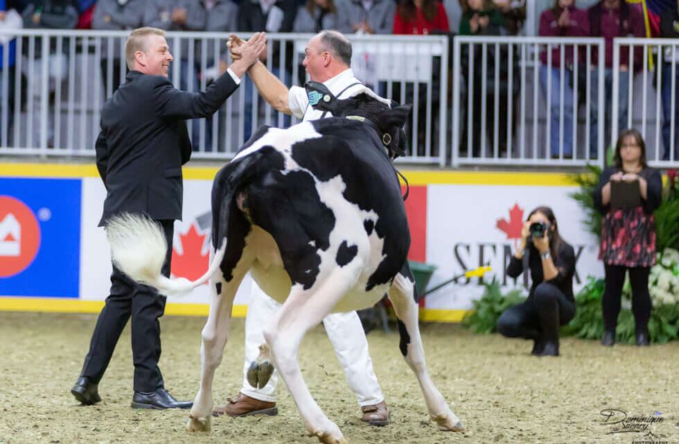 Jurado internacional para la ExpoRural 2024 de Rafaela