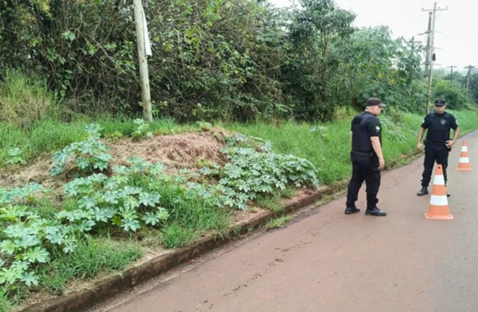 Wanda: investigan el presunto robo de 120 millones de pesos a un transportista