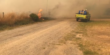 Masivo incendio en Tandil como consecuencia de la ola de calor