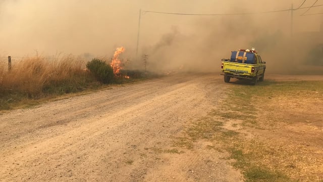 Masivo incendio en Tandil como consecuencia de la ola de calor