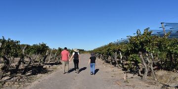La Nación subsidió un proyecto de la Asociación Vitivinícola de Mendoza destinado a relevar a los productores vitícolas con problemas dominiales en sus terrenos. Gentileza