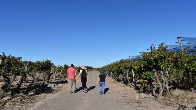 La Nación subsidió un proyecto de la Asociación Vitivinícola de Mendoza destinado a relevar a los productores vitícolas con problemas dominiales en sus terrenos. Gentileza