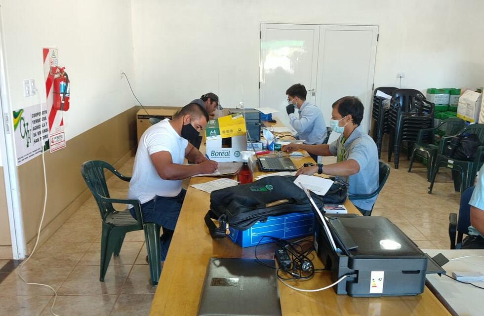 San Pedro: el INYM realiza Registro de Productores y Yerbales