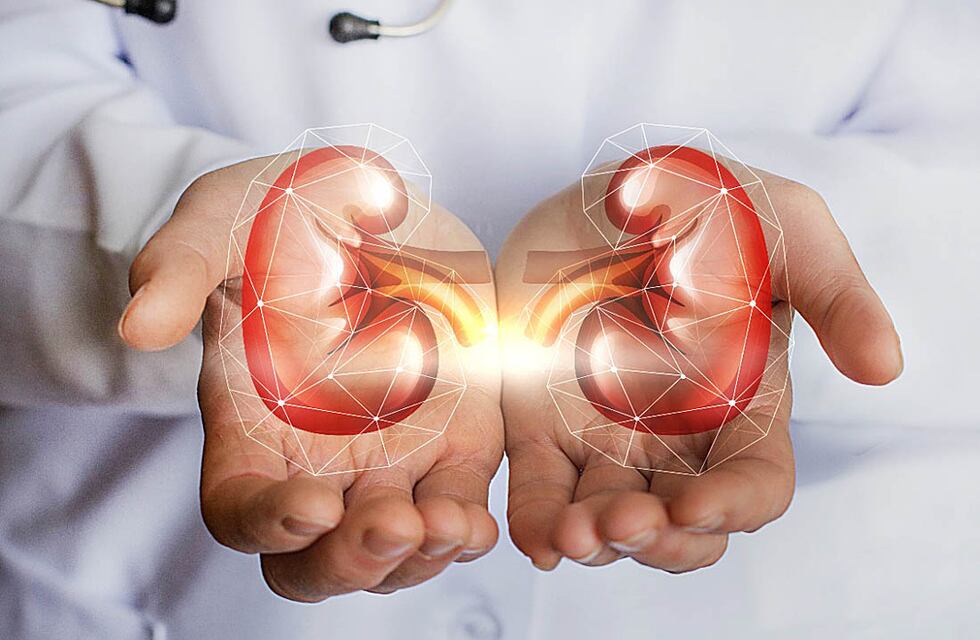 A partir de hoy se llevarán a cabo las actividades por el “Día Mundial del Riñón”