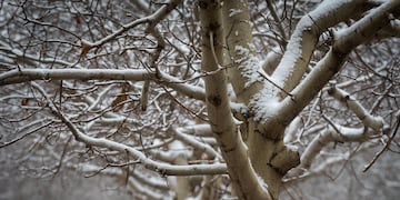 Clima en Tandil: podría nevar en la ciudad durante la madrugada