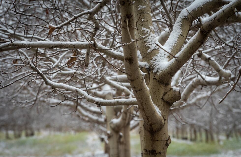Pronóstico en Tandil: se mantiene el alerta por bajas temperaturas