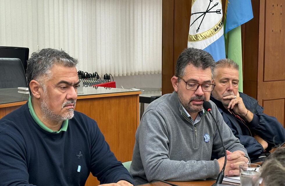 Caballos sueltos en Rafaela: proponen multar a los dueños que tengan una tenencia irresponsable