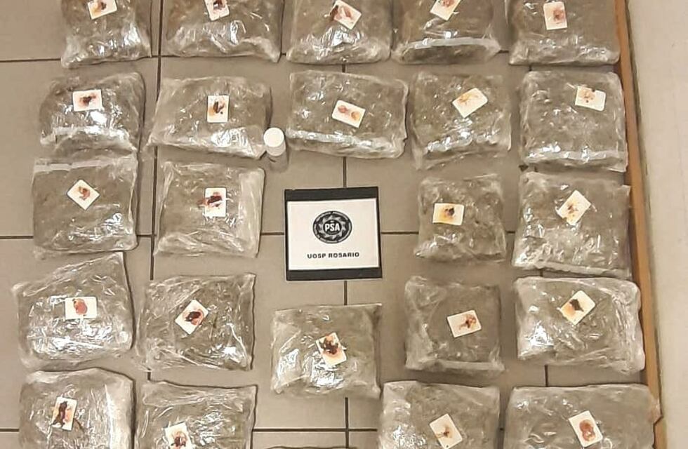 En Rosario hallaron casi 15 kilos de cocaína y marihuana dentro de encomiendas