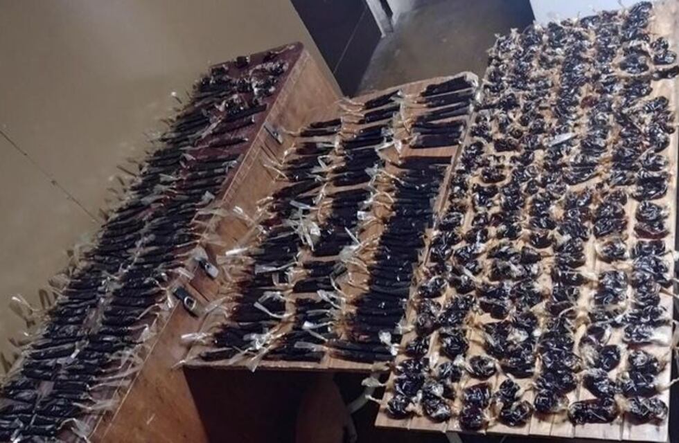 Intentaron ingresar más de 400 bolsitas con fernet al partido de River - Laferrere y quedaron detenidos