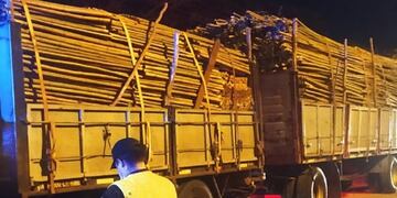 Transportaba tacuaras con documentación vencida y terminó con la carga secuestrada.