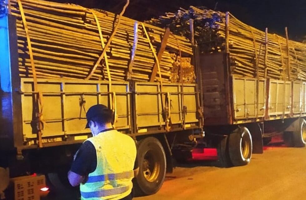 Transportaba tacuaras con documentación vencida y terminó con la carga secuestrada