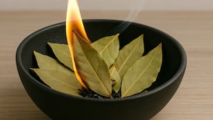 Qué días de octubre se debe quemar laurel para atraer dinero, prosperidad y limpiar tu casa de energías negativas.