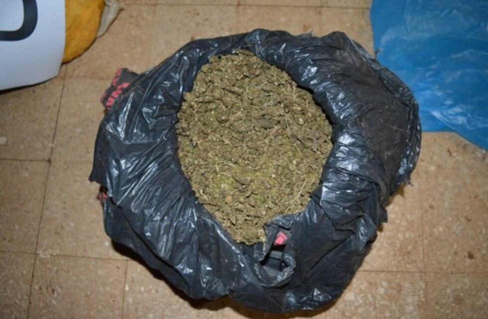 Gendarmería Nacional secuestró cogollos de marihuana en Puerto Iguazú