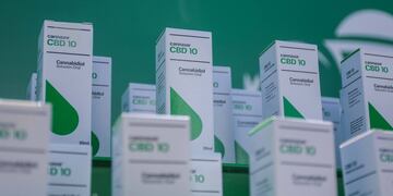 La empresa estatal jujeña Cannava presentó los primeros lotes de cannabis medicinal producidos en la Argentina.