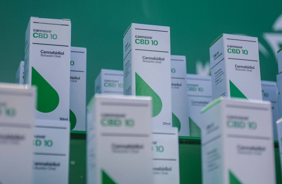 Megacompañía internacional se interesa en la producción jujeña de cannabis medicinal